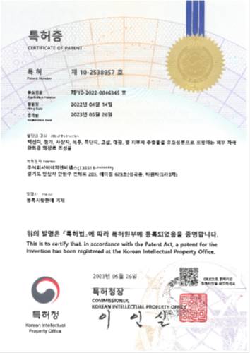 patent