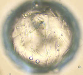 crystal